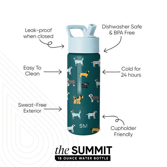 Summit Kids Water Bottle with Straw Lid